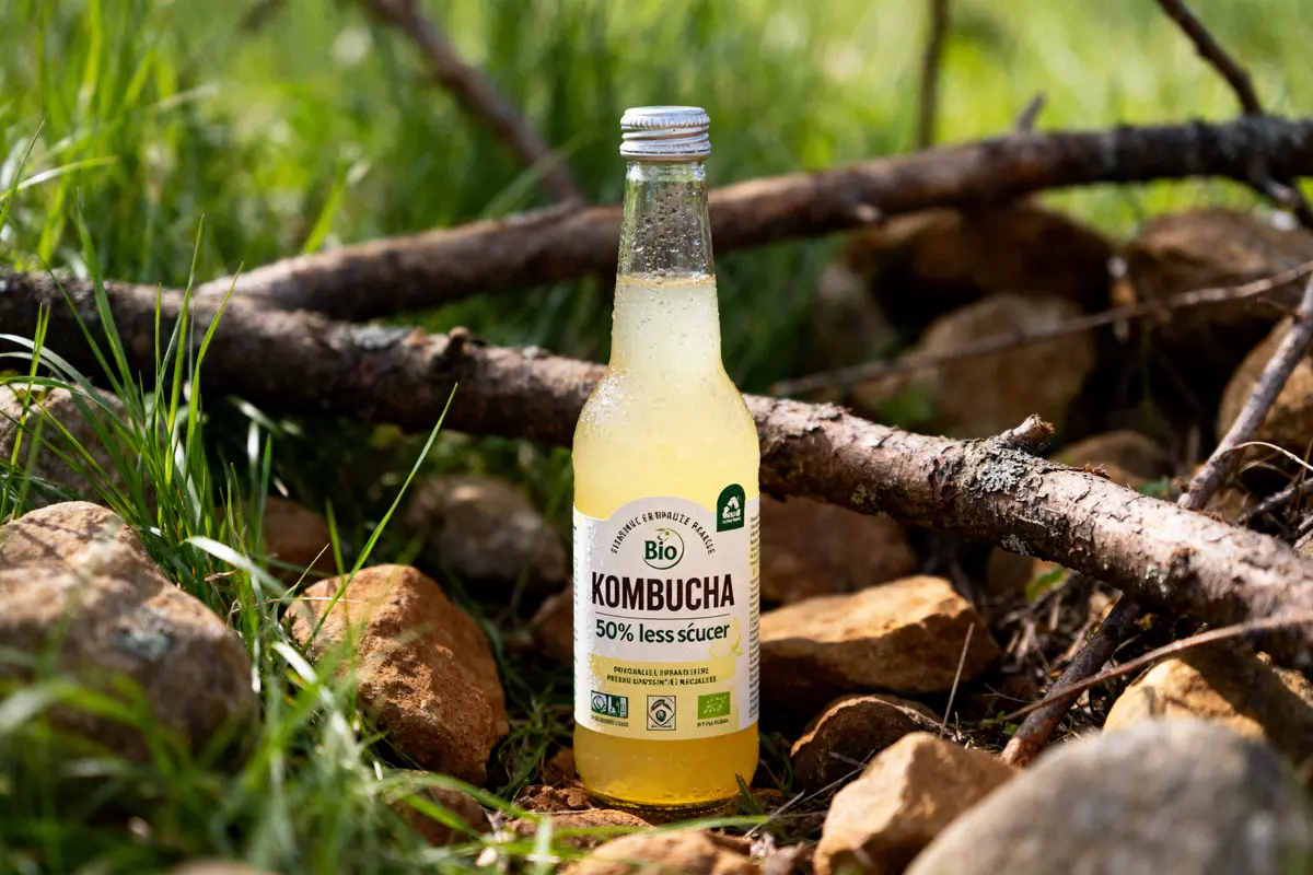 Bouteille de kombucha bio posée sur des pierres et herbes avec branches en arrière-plan. Naturelle et rafraîchissante.