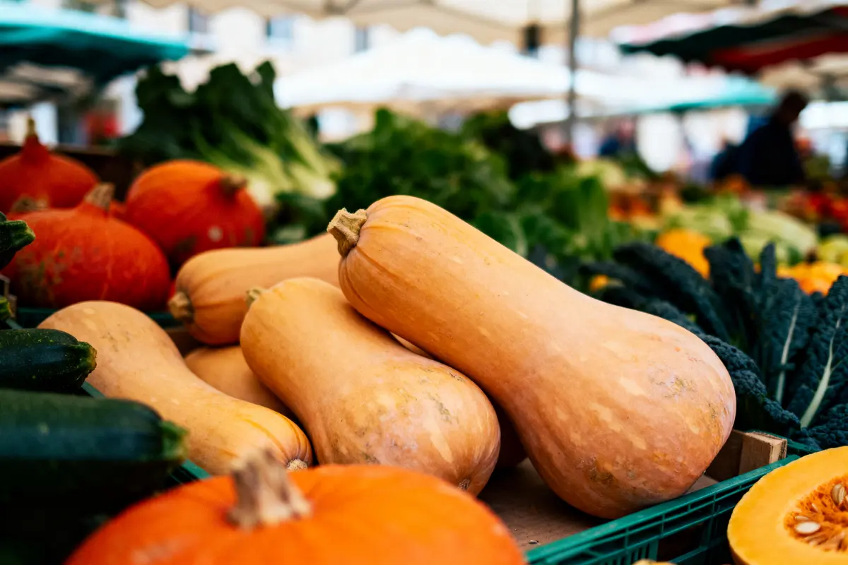 Courges et citrouilles exposées sur un étal de marché coloré, avec du chou vert en arrière-plan.