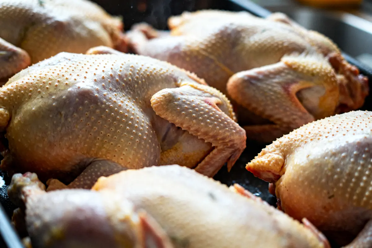 Délicieuses cailles entières prêtes à cuisiner pour une recette sur les cailles savoureuse