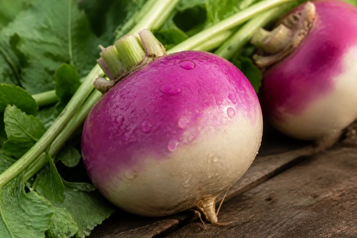 Bienfaits du navet : Santé, recettes et vertus à découvrir !